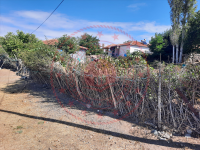 Kırşehir Akçakent Kilimli Köyü Milli Emlak'tan Satılık 1.504,26 m2 Tarla