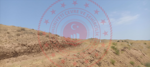 Kırıkkale Delice Halitli Köyü Milli Emlak'tan Satılık 3.099,18 m2 Tarla