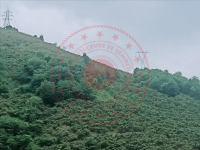 Giresun Doğankent Kozköy Köyü Milli Emlak'tan Satılık 2.959,50 m2 Tarla