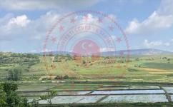 Sinop Saraydüzü Yenice Köyü Milli Emlak'tan Satılık 5.175,79 m2 Tarla