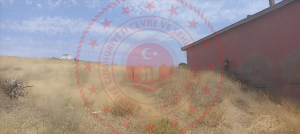 Kırıkkale Delice Halitli Köyü Milli Emlak'tan Satılık 2.346,58 m2 Tarla