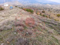 Tokat Turhal Necip Köyü Milli Emlak'tan Satılık 521,32 m2 Tarla