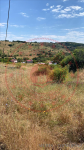 Erzincan Refahiye Çatalçam - Dolaylı Köyü Milli Emlak'tan Satılık 6.686,70 m2 Tarla