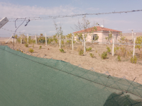 Kırıkkale Balışeyh Akçakavak Köyü Milli Emlak'tan Satılık 928,63 m2 Tarla