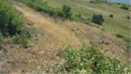 Bingöl Merkez Kılçadır Köyü Milli Emlak'tan Satılık 311,92 m2 Tarla