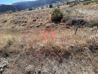 Erzincan Refahiye Ekecik Köyü Milli Emlak'tan Satılık 3.868,02 m2 Tarla