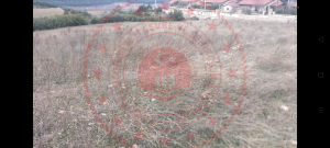 Denizli Honaz Ovacık Köyü Milli Emlak'tan Satılık 3.253,44 m2 Tarla