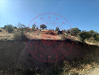 Erzincan Merkez Kılıçkaya Köyü Milli Emlak'tan Satılık 1.500,00 m2 Tarla
