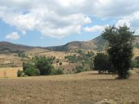 Amasya Merkez Yassıçal - Erkonaş Mahallesi Milli Emlak'tan Satılık 5.271,24 m2 Tarla