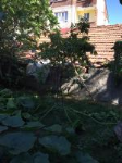 Tokat Niksar Gaziosmanpaşa Mahallesi Milli Emlak'tan Satılık 15,24 m2 Tarla