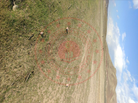 Ağrı Doğubayazıt Sağlıksuyu Köyü Milli Emlak'tan Satılık 16.622,23 m2 Tarla