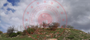 Erzincan Merkez Çağlayan Köyü Milli Emlak'tan Satılık 72,19 m2 Arsa