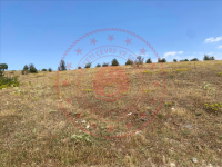 Kastamonu Taşköprü Paşa Köyü Milli Emlak'tan Satılık 2.027,17 m2 Tarla