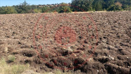 Kütahya Merkez Damlalıkaraağaç Köyü Milli Emlak'tan Satılık 6.945,26 m2 Tarla