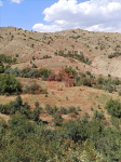 Erzincan İliç Sularbaşı Köyü Milli Emlak'tan Satılık 11.389,45 m2 Tarla
