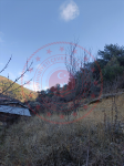Kastamonu Tosya Akseki Köyü Milli Emlak'tan Satılık 786,32 m2 Tarla