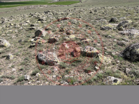 Kayseri Develi Çayırözü Mahallesi Milli Emlak'tan Satılık 68.712,26 m2 Tarla