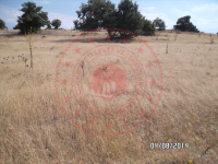 Konya Beyşehir Bademli Köyü Milli Emlak'tan Satılık 6.029,51 m2 Tarla