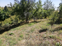 Bolu Yeniçağa Örenköy Köyü Milli Emlak'tan Satılık 392,63 m2 Tarla
