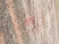 Afyonkarahisar Dinar Çürüklü Köyü Milli Emlak'tan Satılık 9.600,00 m2 Tarla