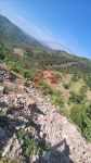 Balıkesir Burhaniye Çamtepe Köyü Milli Emlak'tan Satılık 16.922,08 m2 Tarla