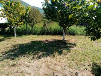 Sakarya Geyve Doğançay Köyü Milli Emlak'tan Satılık 110,71 m2 Tarla