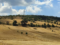 Amasya Merkez Ermiş Köyü Milli Emlak'tan Satılık 3.340,09 m2 Tarla