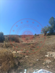 Gümüşhane Kelkit Elmelik Köyü Milli Emlak'tan Satılık 232,12 m2 Tarla