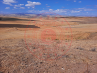 Kırşehir Akçakent Ayvalı Köyü Milli Emlak'tan Satılık 5.585,03 m2 Tarla