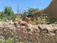 Kırıkkale Delice Halitli Köyü Milli Emlak'tan Satılık 121,67 m2 Tarla