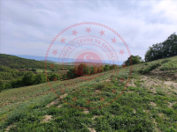 Bursa İznik Yörükler Mahallesi Milli Emlak'tan Satılık 5.852,68 m2 Tarla