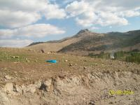 Konya Seydişehir Dikilitaş Köyü Milli Emlak'tan Satılık 2.002,00 m2 Tarla