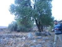 Ankara Evren Solakuşağı Köyü Milli Emlak'tan Satılık 313,34 m2 Tarla