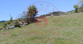 Çankırı Yapraklı Yukarıöz Köyü Milli Emlak'tan Satılık 557,58 m2 Arsa