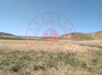 Kırıkkale Delice Karaköseli Köyü Milli Emlak'tan Satılık 20.333,69 m2 Tarla