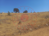 Kırıkkale Sulakyurt Faraşlı Köyü Milli Emlak'tan Satılık 1.537,76 m2 Tarla