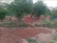 Kırıkkale Keskin Konur Mahallesi Milli Emlak'tan Satılık 630,00 m2 Arsa