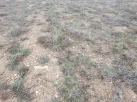 Konya Beyşehir Esence Kasabası Milli Emlak'tan Satılık 4.790,00 m2 Arsa