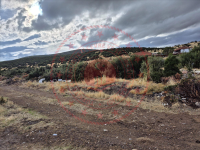 Afyonkarahisar Dinar Tugaylı Köyü Milli Emlak'tan Satılık 751,87 m2 Tarla