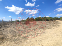 Amasya Merkez Kayabaşı Köyü Milli Emlak'tan Satılık 2.743,37 m2 Tarla