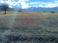 Konya Kadınhanı Şahören Köyü Milli Emlak'tan Satılık 11.500,00 m2 Tarla