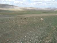 Sivas Gürün Böğrüdelik Köyü Milli Emlak'tan Satılık 11.821,70 m2 Tarla