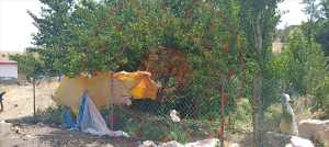 Kırıkkale Delice Halitli Köyü Milli Emlak'tan Satılık 131,86 m2 Tarla