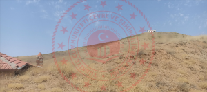 Kırıkkale Delice Halitli Köyü Milli Emlak'tan Satılık 327,44 m2 Tarla