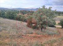 Kırıkkale Delice Meşeyayla Köyü Milli Emlak'tan Satılık 1.000,00 m2 Tarla