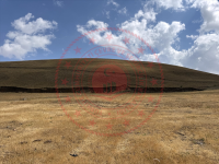 Ağrı Merkez Başkent Köyü Milli Emlak'tan Satılık 7.465,73 m2 Tarla