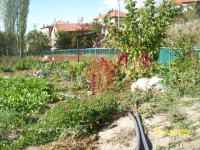 Konya Seydişehir Bostandere Kasabası Milli Emlak'tan Satılık 67,92 m2 Tarla