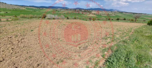 Kastamonu Merkez Hacışaban Köyü Milli Emlak'tan Satılık 6.959,41 m2 Tarla