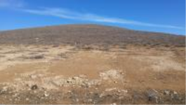 Bayburt Merkez Bayırtepe Köyü Milli Emlak'tan Satılık 2.240,86 m2 Tarla