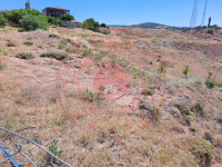 Kırşehir Akçakent Ömeruşağı Köyü Milli Emlak'tan Satılık 1.102,25 m2 Tarla